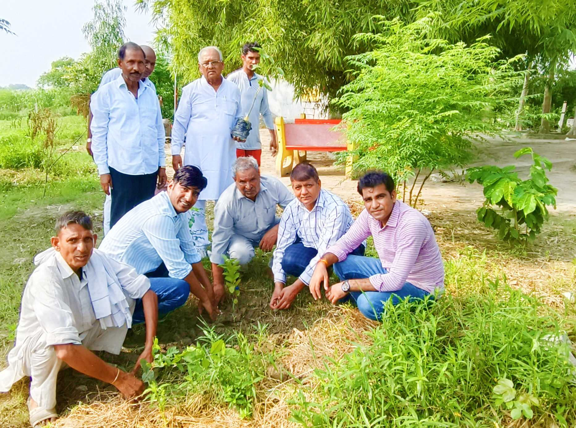 Sankalp environment and sustainability activity photo 8